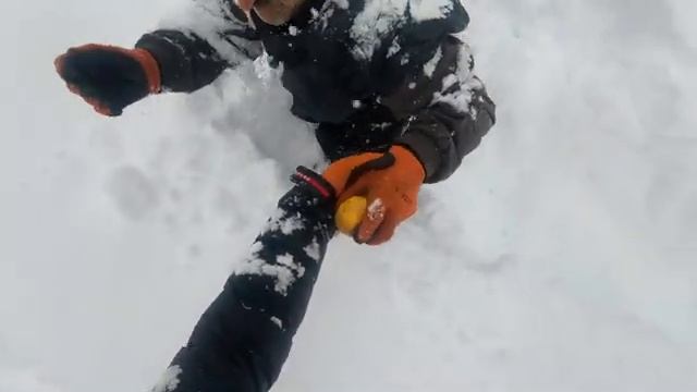 7 дней без еды.
