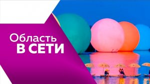 Область в сети № 349