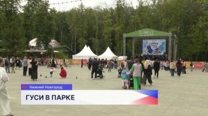 Акцию «Гуси в парке» провели у входа в парк «Швейцария» в Нижнем Новгороде