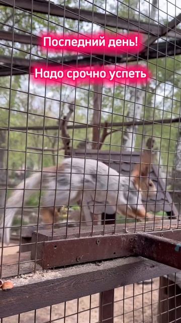 Ох уж этот последний день месяца бывает 12 раз в году