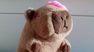 смотрим и играем