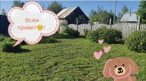 Сад и огород /Будни начинающего дачника😅