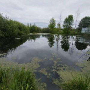 рыбалка 37 РФ 🎣🎣🎣🎣