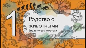 Биология 11 класс § 29 Эволюция человека