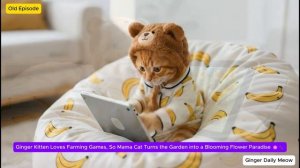 Папа-кот теряет работу, но рыжий котенок и мама-кошка готовы его утешить 💼❤️