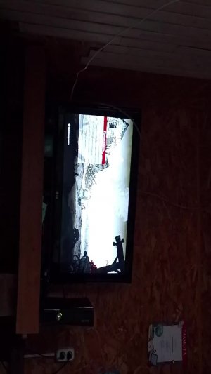 видеоблогерша