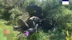 Три человека погибли и один пострадал в ДТП Ростовской области. Автомобиль въехал в дерево в селе