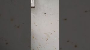 Тест Универсальных ключей в новом месте одни визиты! Ещё были меттемы