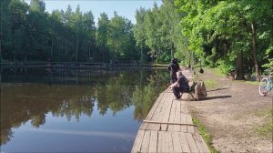 Утренний обзор с нижнего водоёма. Клёвое место, Лосиный остров.