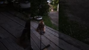 1 июня День защиты.