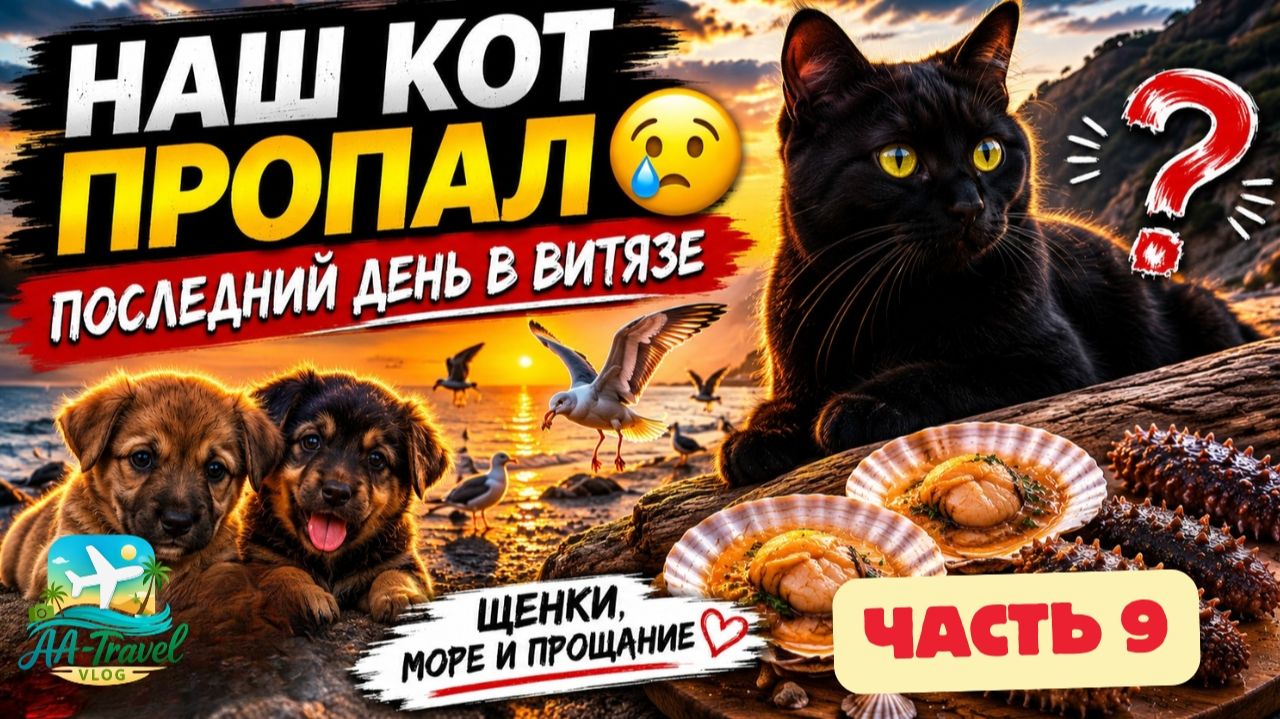 ПУТЕШЕСТВИЕ В РОССИЮ И КИТАЙ 2025 🇷🇺🇨🇳 | Part 9 | НАШ КОТ ПРОПАЛ | Последний день у моря #russia