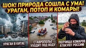 Катаклизмы сегодня: Китай в руинах, Ставрополье тонет, Россия в осаде комаров!