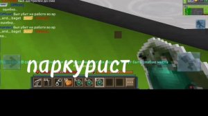 типы игроки в блокмен го!!!