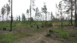 Воронежская область в зоне ЧС