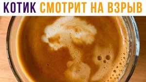 Сварил кофе, а там... Приколы)