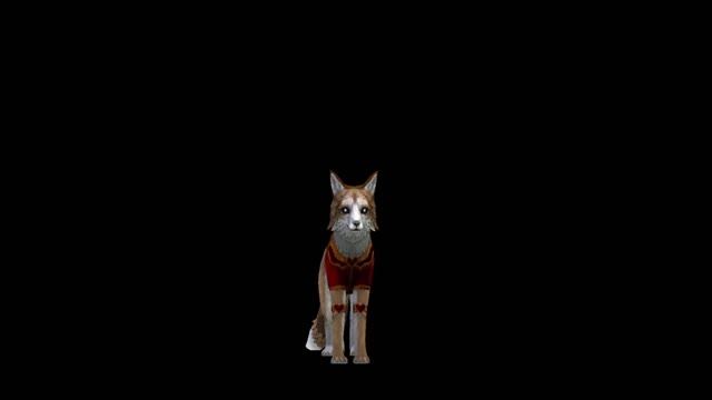 Клип в WildCraft Холод BEARWOLF