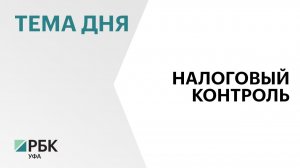 В Башкортостане поступления от налоговых проверок бизнеса выросли на 24%