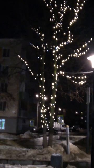 дерево перед новым годом 211223
