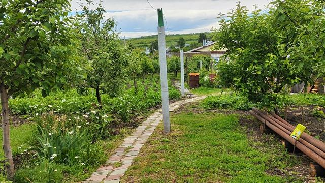 Саратов 01.06.26 что реально происходит прямо сейчас смотреть онлайн