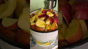 VID_20260531_172330