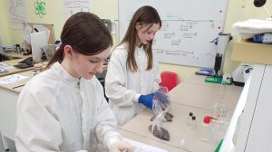 Юные ученые Ханты-Мансийска провели эксперимент с грибами