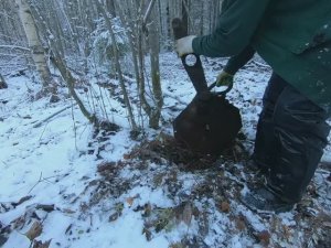 В лес за металлом_Еду по старой лежнёвке_Много  непреодолимых участков #КопМеталлавлесу