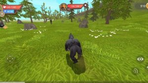 Играю за гориллу