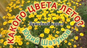 КАКОГО ЦВЕТА ЛЕТО🌞🌴🏄🎇?
