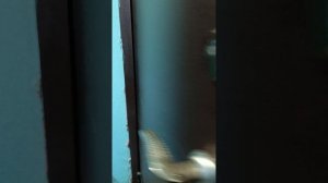 1000001172.mp4