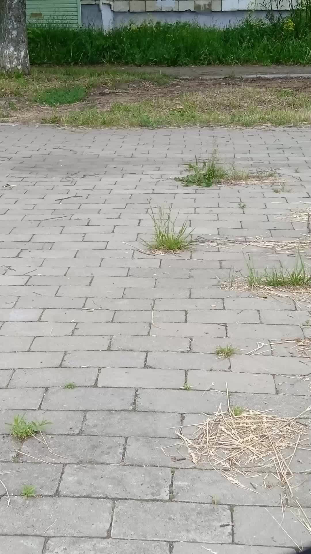 катаемся на великах и самокатах смотреть онлайн
