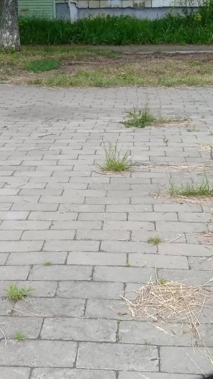 катаемся на великах и самокатах