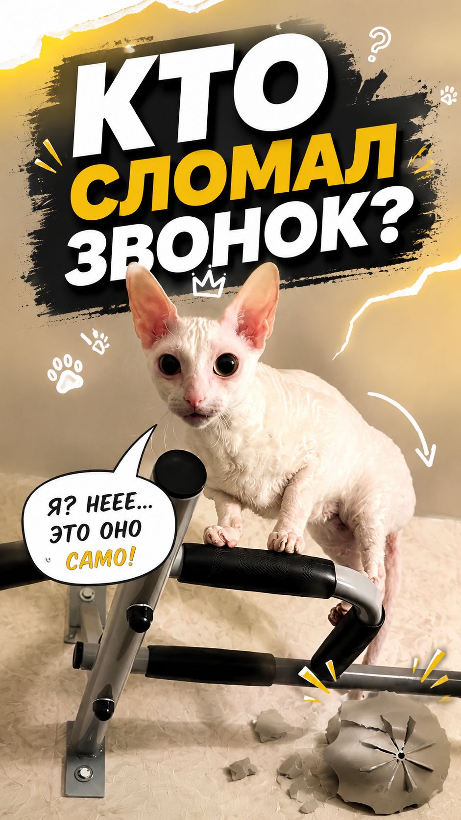 Кто сломал звонок? 😂🤣🤗
