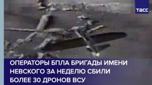 Операторы БПЛА бригады имени Невского за неделю сбили более 30 дронов ВСУ