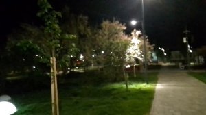 После дождя у Космоса. Продолжение.