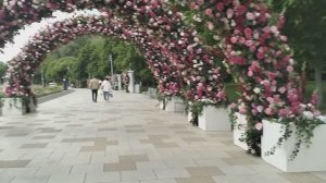Благоустройство набережной в парке Коломенское