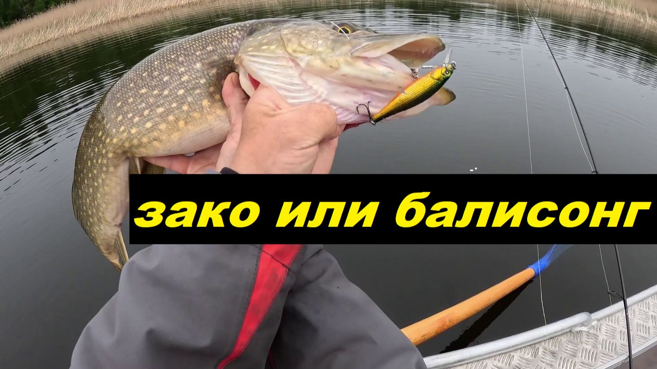 Зако или Балисонг смотреть онлайн