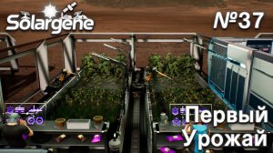 ПРОХОЖДЕНИЕ SOLARGENE: Первый урожай #37