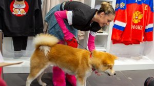 Алина Загитова и Даниил Глейхенгауз. Илья Малинин и политика в спорте.