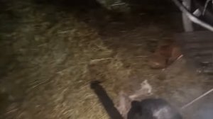 Аркашино ТВ/ Звёзды Ютуба отдыхают