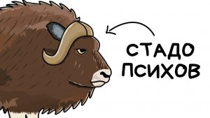 Ты — овцебык (и это вся твоя жизнь)