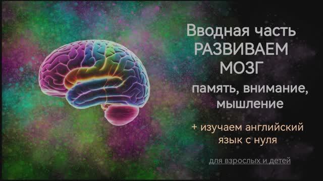 Развиваем мозг. Вводная часть. смотреть онлайн
