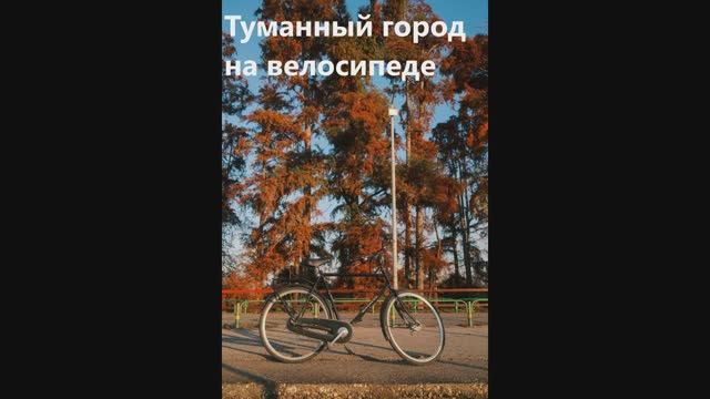 От мыса Кунгасный к яхт‑клубу: велопрогулка у моря