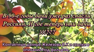 В 90-е годы дачи уже раз спасли Россиян. И где теперь эти дачи !!!