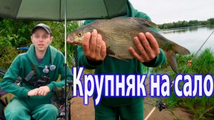 Крупный Лещ на Волге в Подмосковье, смотреть видео рыбалка на Волге