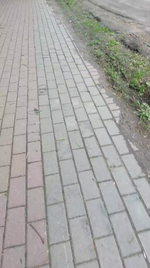 с 1 июня