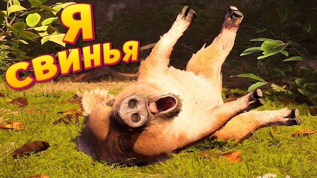 Я СВИНЬЯ ( Adorable Adventures )