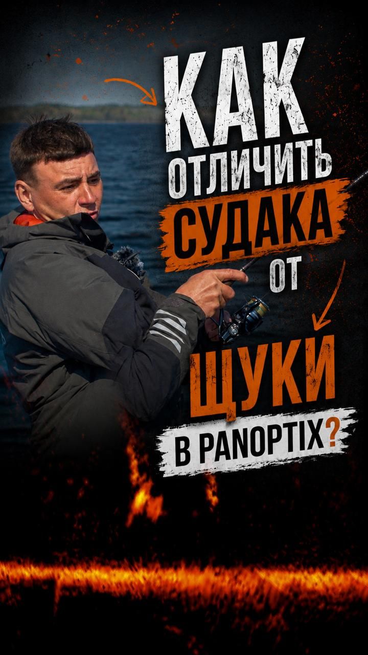 КАК ОТЛИЧИТЬ СУДАКА ОТ ЩУКИ В PANOPTIX?