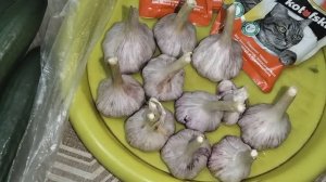 Мои покупки купил в Дикси чеснок по супер цене