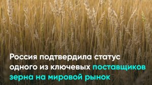 Россия подтвердила статус одного из ключевых поставщиков зерна на мировой рынок