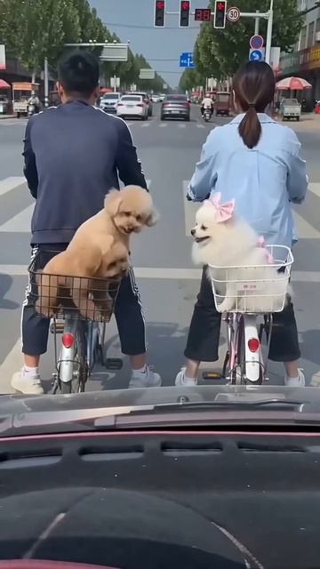 Я с тобой дома потом поговорю!